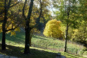 Cap De Coste - Enclos 2