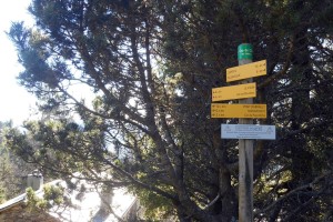 Cap De Coste - Indications 1